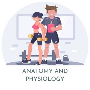 anatony and physiology app Anaony &